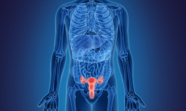 Click the video to learn about performance data for Mass General surgical procedures that treat conditions of the ovaries and uterus